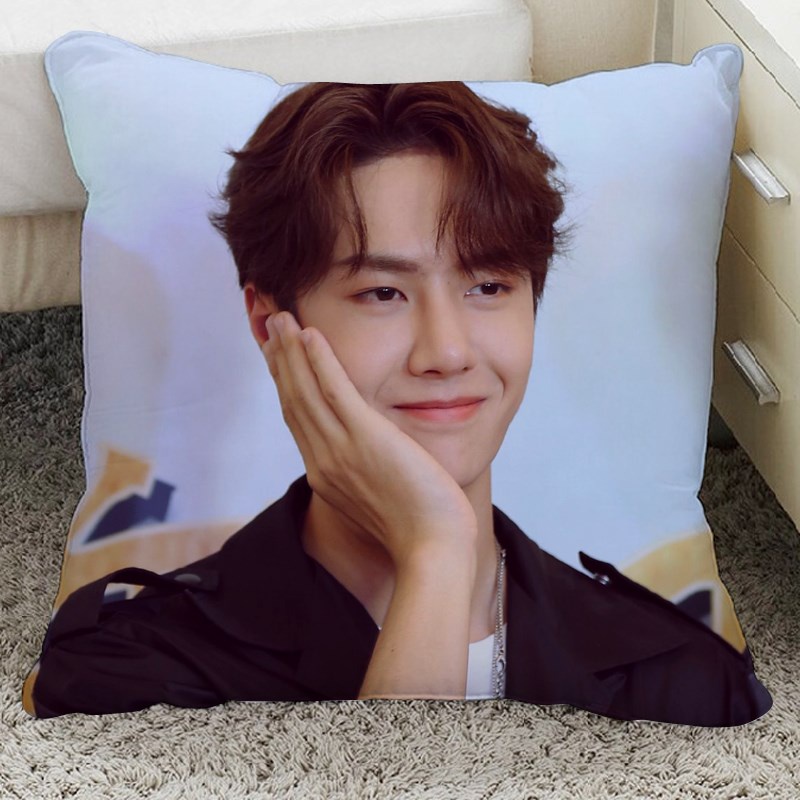 WYB WangYibo Pillow  50x50cm หมอน หวังอี้ป๋อ หวังเจี่ย