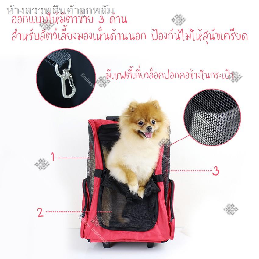 สวน50%☃◘▦Elit กระเป๋าใส่สุนัข แมว แบบสะพายหลัง และลากได้เหมือนกระเป๋าเดินทาง Pet Backpack Bag รุ่น PBP56-PO