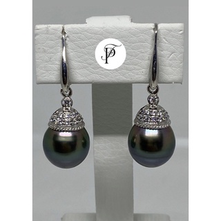 Tahiti Pearl Earring ไซส์ใหญ่ 13.6 mm