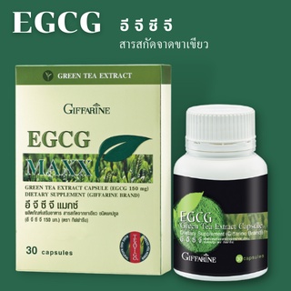 ส่งฟรี💥 EGCG อีจีซีจี &amp; EGCG MAXX-อี จี ซี จี แมกซ์  กิฟฟารีน สารสกัดชาเขียว อาหารเสริม ชาเขียวลดน้ำหนัก ควบคุมน้ำหนัก