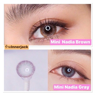 🎄Mini Nadia Brown,Gray🎄สายตาปกติ,-0.50,-3.25,-3.50,-3.75,-4.25(kitty kawaii)