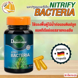 แคปซูลแบคทีเรีย รองพื้นตู้ไม้น้ำ Depontaqua Bacteria 30 เม็ด แบคทีเรียย่อยสลายของเสีย