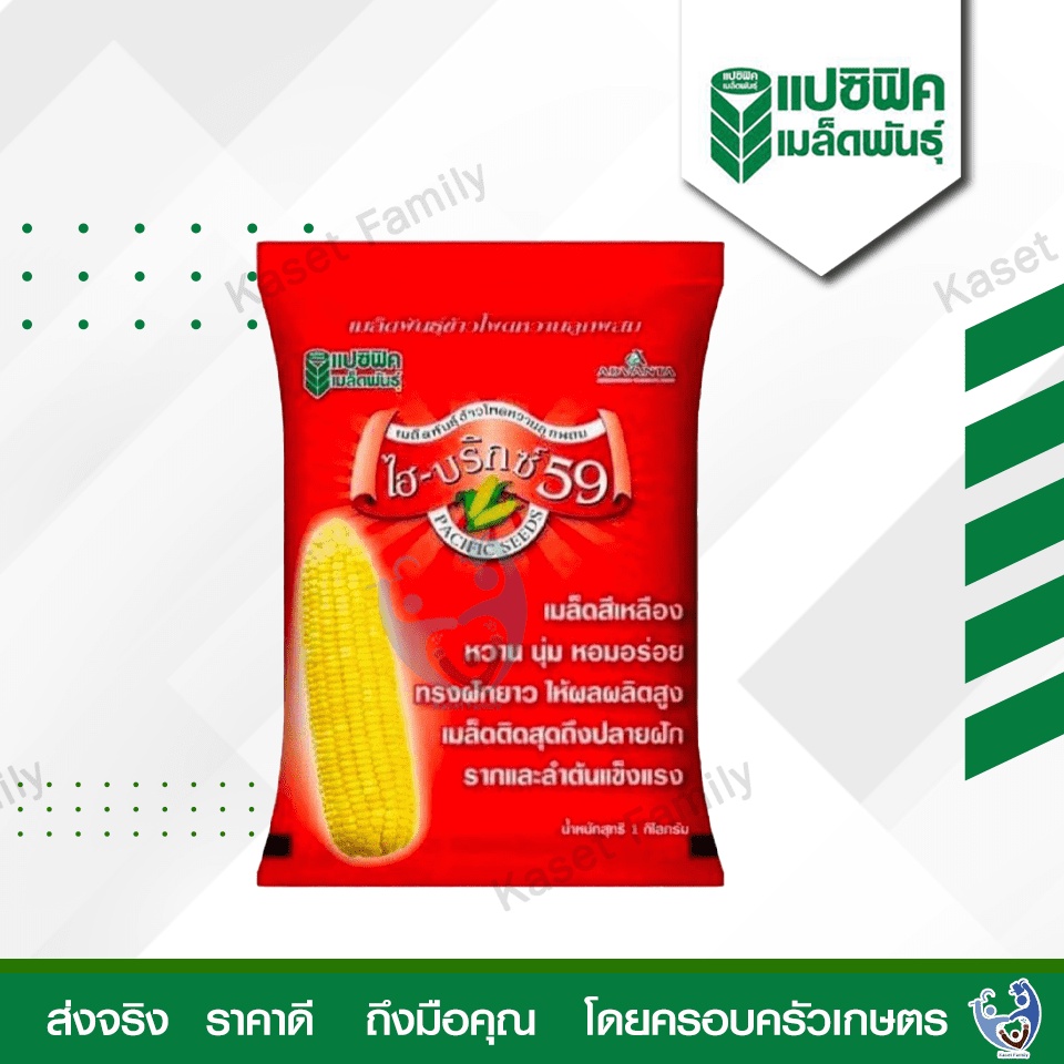 ข้าวโพดหวานไฮบริกซ์59 บรรจุ 1 กิโลกรัม เมล็ดพันธุ์ข้าวโพด ตราแปซิฟิค