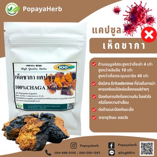 เห็ดชากา 100% (Chaga Mushroom 100%) ต้านมะเร็ง อนุมูลอิสระ ชะลอวัย