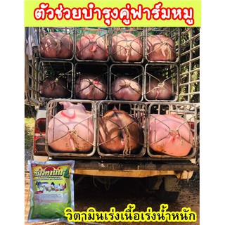 วิตามินหมู บำรุงหมูขุน อาหารเสริมหมู เสริมวิตามินให้กับหมู ฟาร์มใช้จริง ซันวิตามิน2 ชุดนี้ 12 กิโล