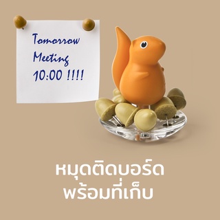 หมุดติดบอร์ด เข็มหมุด พร้อมที่เก็บ รุ่นกระรอกน้อย Qualy Squirrel &amp; Acorn - Pin Holder + Push Pin