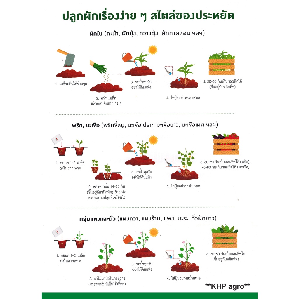 เมล็ดพันธุ์ ผักใบ ชุดที่ 1 เจียไต๋(ซอง) ผักสวนครัว เมล็ดผัก เมล็ดพันธุ์พืช ผักบุ้ง คะน้า ผักชี กวางตุ้งฯ **Best Seller** - รูปที่ 2