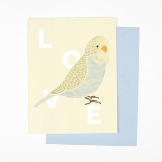 Pianissimo Press การ์ดอวยพรรูปนก รุ่น Parrot - Love