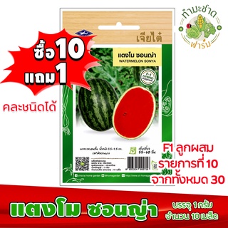 (ซื้อ10แถม1) เมล็ดพันธุ์ แตงโม ซอนญ่า พลัส Watermelon sonya plus ประมาณ 40เมล็ด เจียไต๋ เมล็ดพันธุ์พืช เมล็ดพันธุ์ผัก