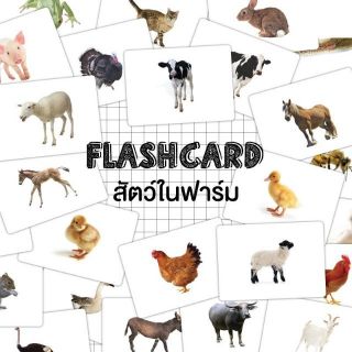 แฟลชการ์ดสัตว์ในฟาร์ม แผ่นใหญ่ Flash Card Farm Animals KP014 Vanda Learning