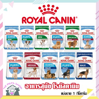 🐶🌸Pet4You🌸🐱Royal Canin 500-800 กรัม อาหารเม็ด โรยัลคานิน รวมสูตร อาหารสุนัขเกรดพรีเมี่ยม อาหารสุนัขชนิดเม็ด อาหารเฉพาะ