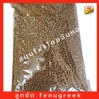 ลูกซัด  Fenugreek ขนาด 1 กิโลกรัม