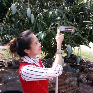 SmileArm® หัวห่อผลไม้ (ไม่รวมด้าม) ใช้ง่าย3ขั้นตอน ห่อกันแมลงกินผลไม้ ที่ห่อผลไม้ กันแมลง กันกระรอกกินผลไม้