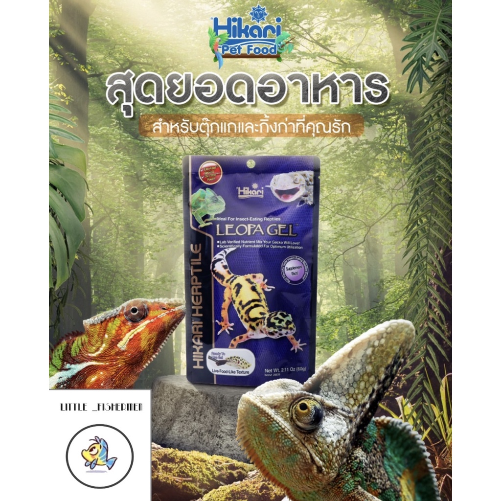 Hikari Leopa Gel อาหารตุ๊กแก อาหารสัตว์เลื้อยคลาน ฮิคาริ ชนิดเจล 60g. ชนิดเม็ด65g.