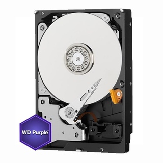 HDWD 6TB PURPLE AV DRIVE Model : WD60PURZ-3YEAR / HARDDISK VIDEO 24/7