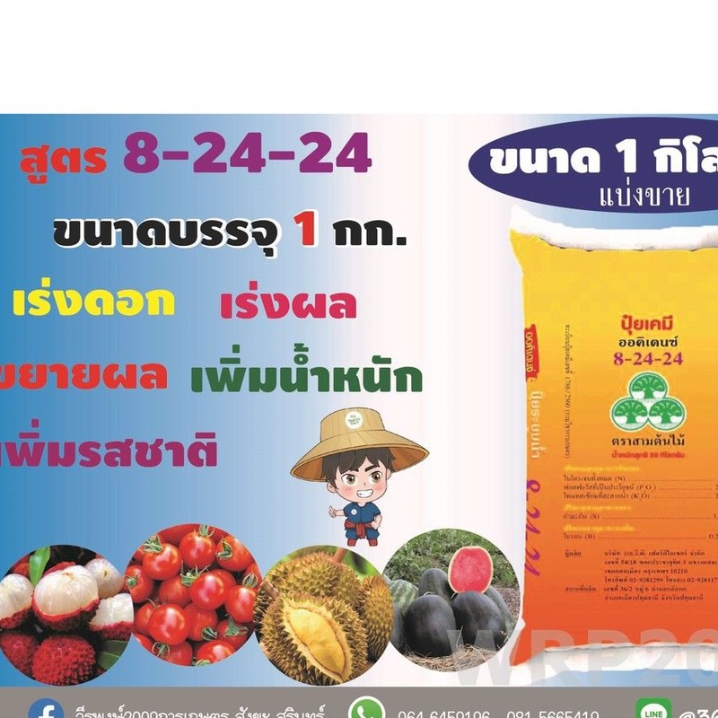ปุ๋ยระบบน้ำ 8-24-24 ปุ๋ยเกล็ด ออคิเดนซ์ 3ต้นไม้ วายวีพี ปุ๋ยระบบน้ำ บรรจุ 25กิโลกรัม