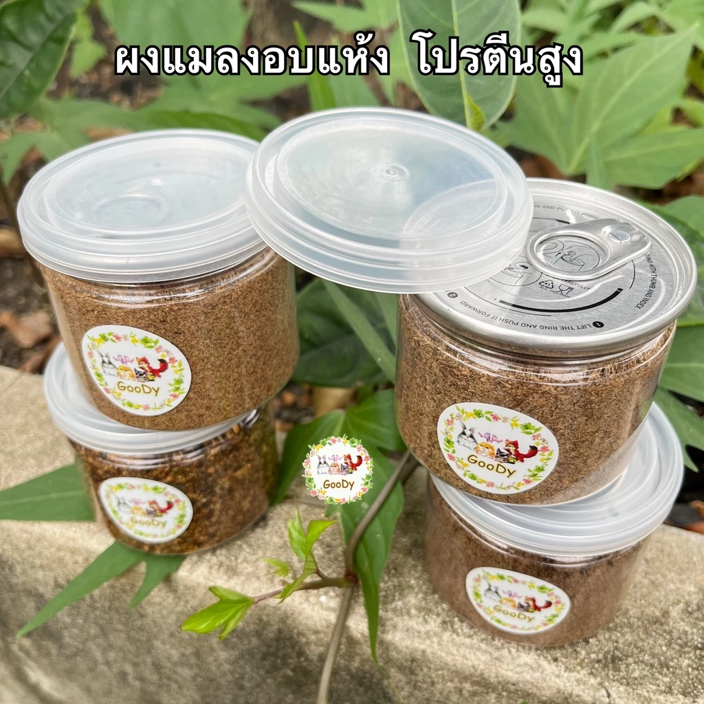 ผงแมลงอบแห้ง 50 กรัม thumbnail 3