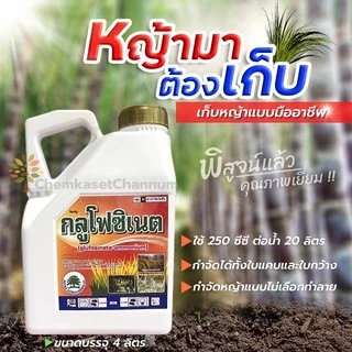 เอ็กซ์กลูโฟ ( ขาว ) กลูโฟซิเนต-แอมโมเนียม15% W/V SL เอ็กซตร้า - ขนาด 4 ลิตร สินค้าผลิตใหม่ ของแท้แน่นอน 💯