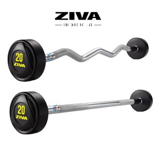 ZIVA Rubber Barbell Set 10 ชิ้น พร้อมชั้นวาง