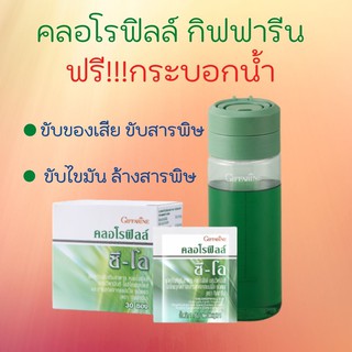 ฟรีกระบอกน้ำ คลอโรฟิลล์ กิฟฟารีน CHLOROPHYLL C-O ขับของเสีย ขับสารพิษ ขับไขมัน ล้างสารพิษ ภูมิแพ้ เสริมภูมิคุ้มกัน