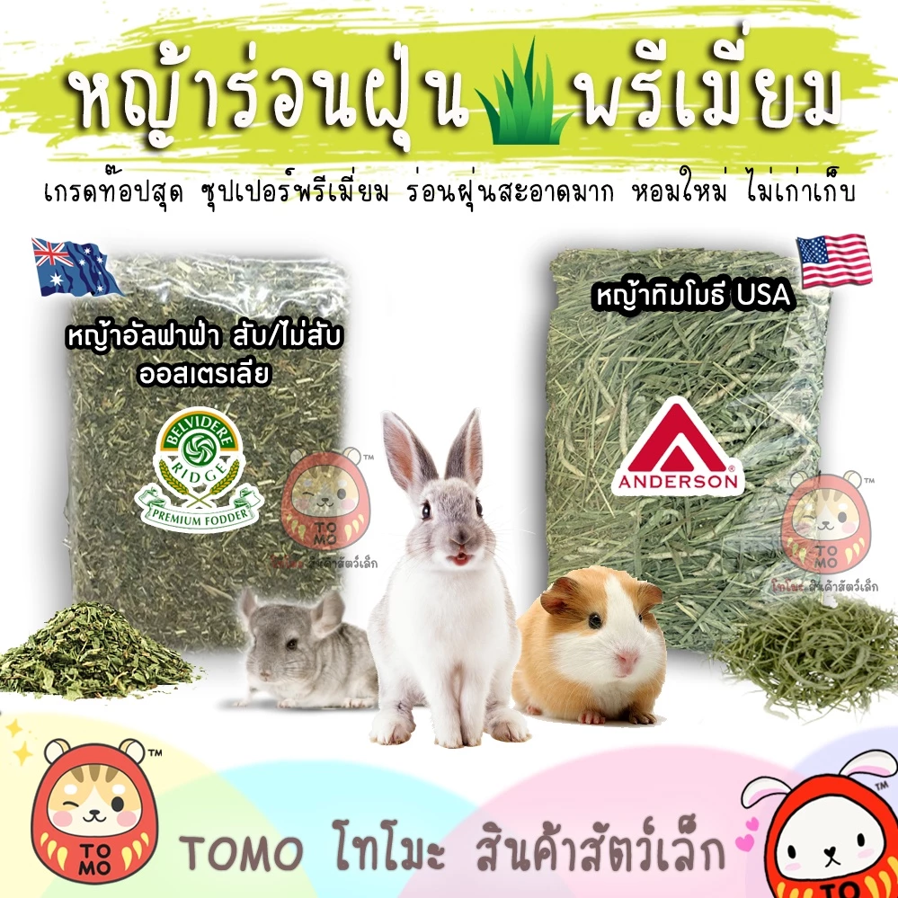 ร้านโทโมะ 💕 หญ้าแห้ง ทิมโมธี อัลฟาฟ่า ซุปเปอร์พรีเมี่ยม ตัวท๊อป หญ้ากระต่าย แกสบี้ แพรี่ด๊อก หญ้ามายล อาหารกระต่าย