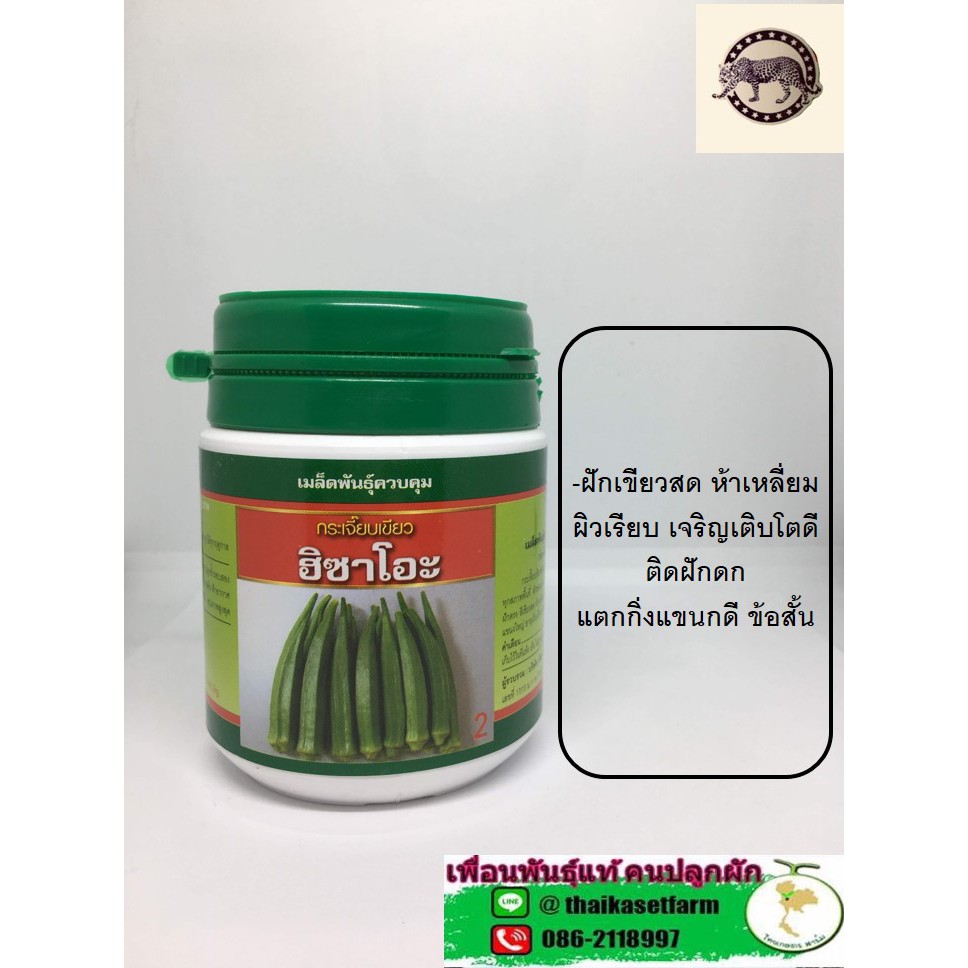 กระเจี๊ยบเขียว ฮิซาโอะ50กรัม ดกมาก ขายดี