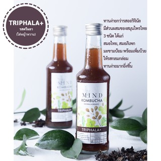 (แบบ 12 ขวด) Mind Kombucha KETO รสตรีผลา ไม่มีน้ำตาล คอมบูชะ ชาหมักเพื่อสุขภาพ บำรุงร่างกาย คีโต