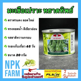 มะเขือเปราะ หยาดทิพย์ ขนาด 20 กรัม เมล็ดพันธุ์ ศรแดงลอตใหม่ ทรงหยดน้ำ สีเขียวอ่อน รสชาติหวานกรอบ ติดผลดก ระยะเก็บ 65 วัน