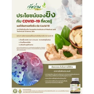 Wangwan Herbs (วังว่านเฮิร์บ) สารสกัดขิง