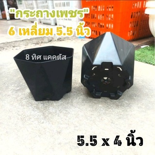 กระถาง เพชร 5.5 นิ้ว (เตี้ย) // กด 50 ชิ้น 550 บาท -- 6 เหลี่ยมเพชร กระถางพลาสติก แคคตัส กระบองเพชร