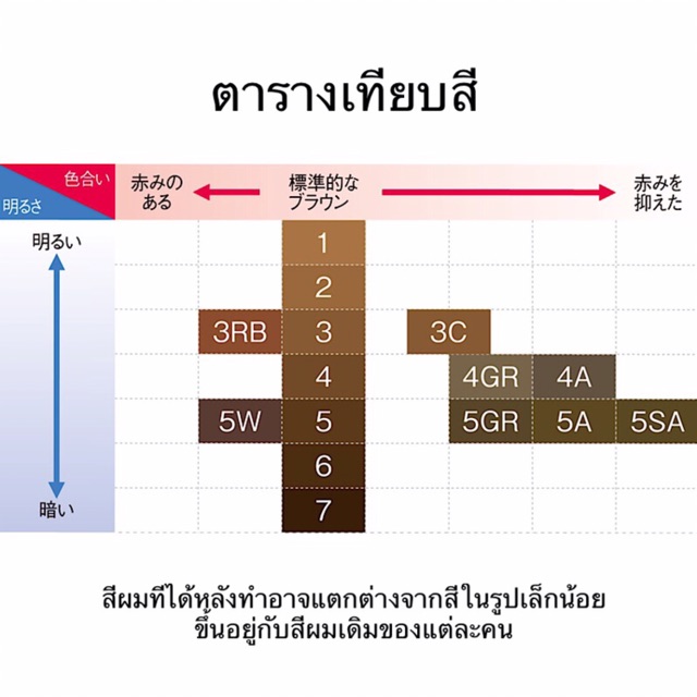 ครีมโฟมปิดผมขาว Salon de Pro จาก Dariya สีนํ้าตาลดำ เบอร์ 6 เกรดพรีเมี่ยมของญี่ปุ่น ทำง่าย