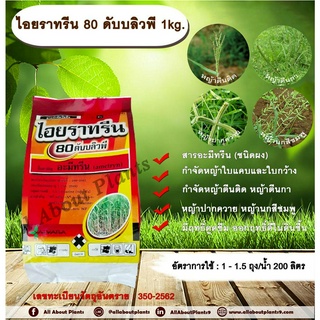 ไอยราทรีน 80 ดับบลิวพี 1kg. อะมีทรีน อามีทรีน สารกำจัดวัชพืช กำจัดหญ้า ใบแคบและใบกว้าง ในอ้อย แบบดูดซึม ชนิดผง กำจัดหญ้า