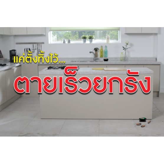 THA shop (100 กรัม x 6) Asawin Rat Killing Bait อัศวินเมด เหยื่อกำจัดหนู ยาล่อหนู ยาเบื่อหนู ยาฆ่าหนู ยากำจัดหนู ในบ้าน - รูปที่ 2