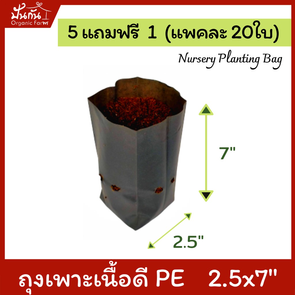[5ฟรี1] ถุงปลูกต้นไม้  2.5x7” ถุงเพาะชำ สีดำ เนื้อPE เหนียว เจาะรู แพคละ20ใบ [สั่ง5แพคแถมอีก1แพค] Nursery Planting Bag