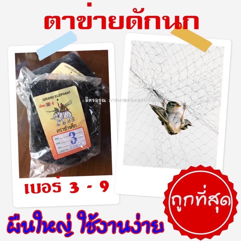 ตาข่ายดักนก ตาข่ายจับนก เบอร์ 3-9 ผืนใหญ่ ใช้งานง่าย ถูกที่สุด