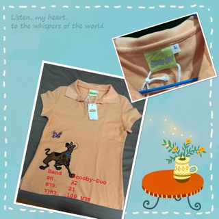 รับซื้อ เสื้อโปโลมือสอง ยี่ห้อ เสื้อผ้ามือสอง Scooby S870