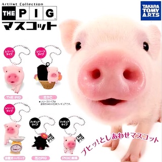 *พร้อมส่ง* กาชาปอง โมเดล the pig หมู งานญี่ปุ่นแท้ มือ 1