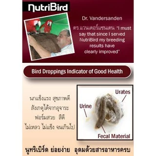 Nutribird A21 สูตรสำหรับลูกนกทุกสายพันธ์ุ อาหารลูกป้อนนก อาหารนก (แบ่งขาย 100G / 200G / 500G)
