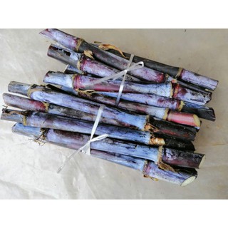 อ้อย​ด​ำ​ อ้อย​แดง​ อ้อย​ยา​ ต้นพันธุ์​ตัดสดจำนวน​20ข้อตา