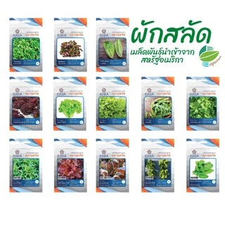 🌱🥗เมล็ดพันธุ์​ ผักสลัด 18 ชนิด ผักกาดหอม กรีนโอ๊ค คอส เรดโอ๊ค ฟิลเล่ย์ บัตเตอร์เฮด เรดคอรอล ไวลด์ร็อคเก็ต อรูกูล่า