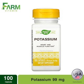 Natures Way, Potassium, 99 mg, 100 Capsules โพแทสเซียม