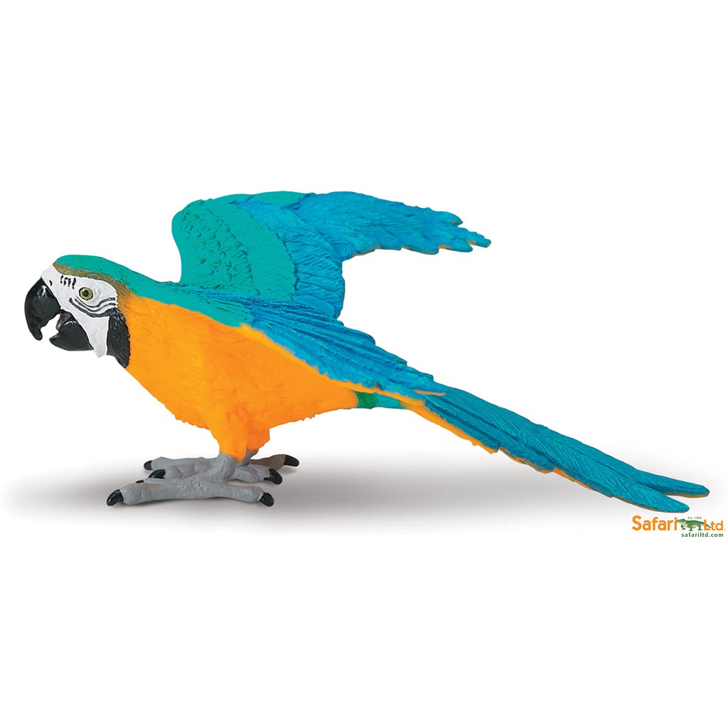 Safari Ltd. : SFR264029 โมเดลสัตว์ Blue & Gold Macaw
