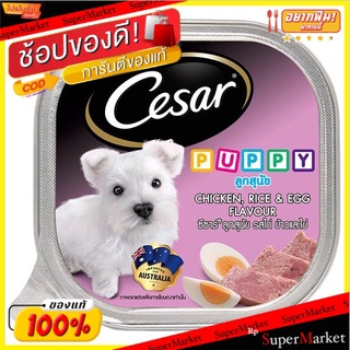 ✨ขายดี✨ ซีซาร์ ลูกสุนัข อาหารลูกสุนัข รสไก่ ข้าวและไข่ 100กรัม Cesar Puppy Chicken Rice &amp; Egg Flavour Dog Food 100g