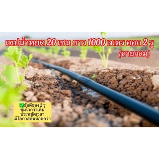 (ของแท้ ส่งไว) เทปน้ำหยด 20 เซน 2 รู ยาว 1000 เมตร