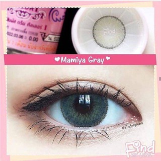 Mamiya Gray (2) Dream Color 1 บิ๊กอาย สีเทา เทา ขอบฟุ้ง ตาโต Contact Lens คอนแทคเลนส์ ค่าสายตา แฟชั่น ฝาม่วง สายตาสั้น