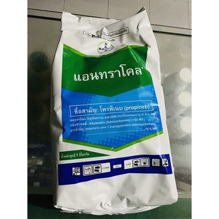 แอนทราโคล โพรพิเบบ ขนาด 1kg ป้องกันใบแห้ง ใบไหม้ แอนแทรคโนส และช่วยให้พืชเขียว เพราะมีธาตุสังกะสี ผสมอยู่