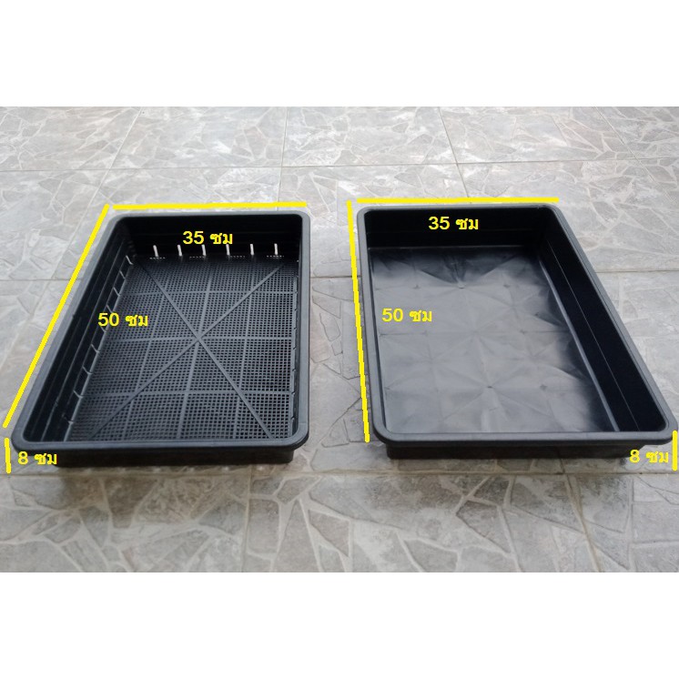 ถาดโดโซะ ถาดเพาะต้นกล้า ใช้เพาะต้นกล้า  แบบตะแกรง และแบบทึบ (ขายแพ็คมี 2 ถาด) - รูปที่ 2