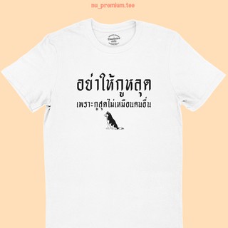 เสื้อยืดลาย อย่าให้กูหลุด เพราะกูสุดไม่เหมือนคนอื่น เสื้อยืดหมาไซบีเรียน ฮัสกี้ เสื้อยืดตลกๆ มีหลายสี ไซส์ S - 2XL