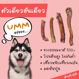 Bully Sticks dog treats ตัวเดียวอันเดียววัวอบแห้ง ขัดฟันน้องหมา ยอดฮิต ทั่วโลก umm ขนมหมา