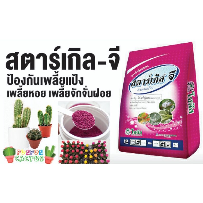 สตาร์เกิลจีแบ่งขาย/100กรัม/39บาท